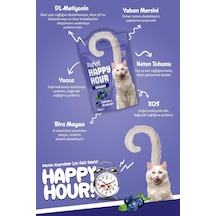 Ayrex Happy Hour Üriner Sistem Tamamlayıcı Kedi Ödül Mamasi 60 Gr Tekli Paket