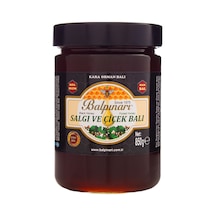 Balpınarı Siyah Meşe Orman Salgı Balı 850 G