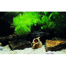 Kanki Pet Kp7045033 Akvaryum Arka Fon Yapıştırma 70 X 45 Cm