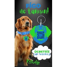 Petjoo 27.Figo Yeşil-Mavi Qr'lı Köpek Künyesi
