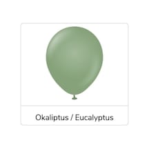 12 Inç Standart Boy Retro Balon 20 Adet Okaliptus A
