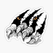 Pençe Kaplan Araba Oto Sticker Yapıştırma Etiket 17Cm T12