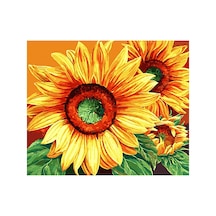 Ayçiçeği Masalı 1 Çerçevesiz 60x75 Sayılarla Boyama Hobi Seti
