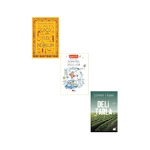 Göğü Yere Indirelim + Deli Tarla + Domates Saçlı Kız 3 Kitap