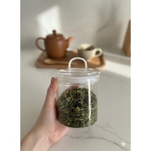 Morponi 3'lü Borosilikat Cam Vakumlu Kapaklı Kavanoz Seti 750 Ml Linea Şeffaf