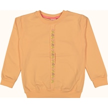 Kanaviçe Nakışlı Kız Sweatshırt Yavruağzı