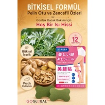 Bitkisel Bacak Bakım Bandı Pelin Otu Ve Zencefil Özlü Nazik Isı Hissi 12 Adet Japonya'dan İt