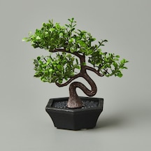 Dekor Mini Yapay Bonsai - Asorti - 10x13 Cm Çok Renkli