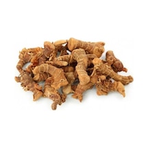 Havlıcan Kök Alpiniaofficinarum 100 Gr