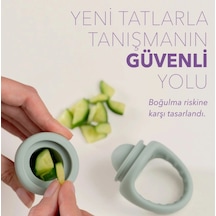Meyve Sebze Gıda Emziği