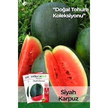30 Adet Siyah/kara Karpuz Tohumu