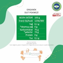 Organik Dut Pekmezi 380gr Soğuk Sıkım Şeker İlavesiz