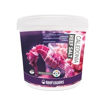 Reeflowers Caledonia Reef Salt 22.5 Kg - Deniz Tuz