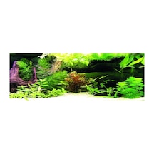 Kanki Pet Kp18565036 Akvaryum Arka Fon Yapıştırma 185 X 65 Cm