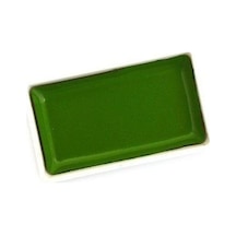 Kuretake Gansai Tambi Sulu Boya 53 Mıd Green Karışık, Çok Renkli