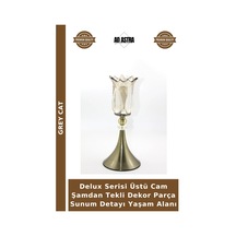 Çok Renkli