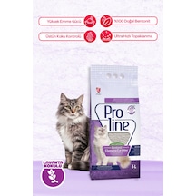 Proline Bentonit Lavanta Kokulu Kedi Kumu 5 Lt Proline Bentonit Lavanta Kokulu Kedi Kumu 5 Lt