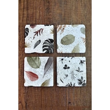 Taş Bardak Altlığı Yaprak Desen Baskılı 4'lü Set 10x10x1 Cm Stone Coasters 1 Çok Renkli
