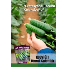 10 Adet Koçyiğit Salatalık Tohumu - Oturak