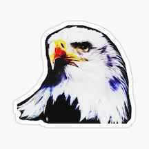 Araba Için Kartal Oto Sticker Yapıştırması Etiket 17Cm R6