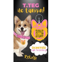 Petjoo 15.T.Teg Sarı-Pembe Qr'lı Köpek Künyesi