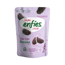 Yayla Enfies Freeze Dried Dondurularak Kurutulmuş Çıtır Meyve Karadut 15gr 15 G