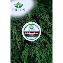 Cilton Ardiç Katrani Kremi Juniper Tar Cream 150 Ml