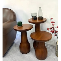 Wood Wooden 3 Lü Set Mantar Yan Sehpa Ahşap Modern Ceviz Renk Fiskos Çiçeklik Ceviz