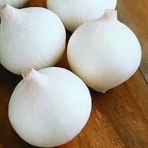 100 Adet Tohum Tatlı Beyaz Soğan Tohumu Tohumlu