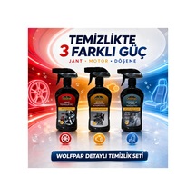3 Lü Detaylı Araç Temizlik Seti Jant, Motor Ve Döşeme Bakımı