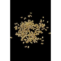 İnci Arpa Boncuk Gold Kaplama 4x8 Mm 20 Gr Ortalama 300 Adet