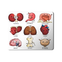 Organlar Vücut Organları Kalp Beyin Kemik Böbrek Baskılı Mouse Pad Mousepad.jpg