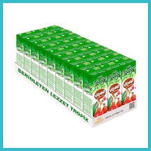 Bezos Tropix Meyve Suyu Vişne 200 Ml 27 Adet Dfnbez