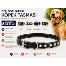 İncili Deri Görünümlü Köpek Boyun Tasması 24-34 Cm Küçük Irk Ayarlanabilir Metal Tokalı - Siyah Çok Renkli