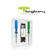 Bigboy BSSDA900-256G 256 GB A900 2500-1800 MB/S PCIe 3x4 SSD