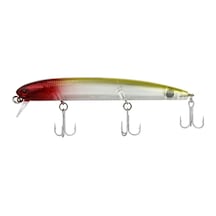 Sea Horse Coco-Gloria 116 Mm 13 Gr Ks-03-