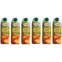 Tamek Şeftali Nektarı 1 Lt X 6 Adet