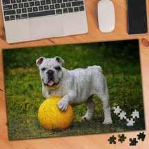 Top Oynayan,oyun Sever Köpek 240 Parça Puzzle Yapboz-562723