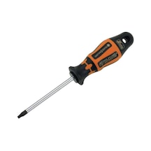 Rx Serisi Torx Tornavida T15 X 80 Mm