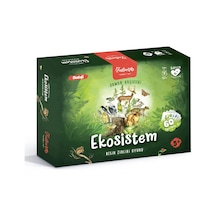 Ekosistem Kart Oyunu: Besin Zinciri Oyunu Standart