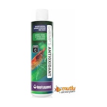 Reeflowers Shrimp Antioxidant 250 ML (Amonyak Giderici)