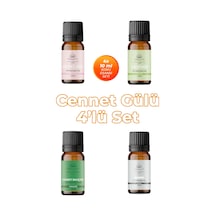 Cennet Gülü Esansiyel Uçucu Koku Yağı Buhurdanlık Yağı Difüzör Esansı 4'lü Set 4x10ml Karışık