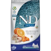 N&D Ocean Bal Kabaklı Morina Balıklı ve Portakallı Tahılsız Küçük Irk Yetişkin Köpek Maması 2.5 KG