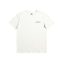 Quıksılver ARCHEDTYPE M TEES Erkek T-shırt EQYZT07283-WDW0