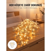 Çok Renkli