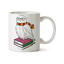 Hp Hedwig Baykuş Kitap İki Tarafı Baskılı Kupa Bardak Çok Renkli