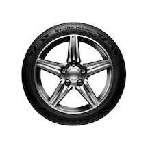 Nexen 205/55R17 95V Xl N Fera Prımus Oto Yaz Lastiği 2026