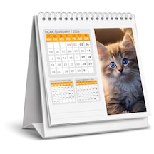 2026 Yeni Kedi Masa Takvimi-16x15 Cm