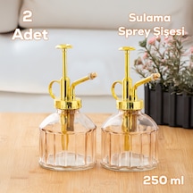 Perotti 15733 2li Pembe Vintage Cam Bitki Sulama Şişesi Sulama Ka