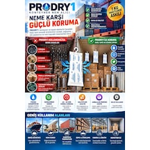 Prodry 1 Konteyner Nem Alıcı Aktif Kil Askılı Rutubet Giderici, Nem Tutucu, Yoğuşma Ve Korozyon Önleyici 1 Pa Diğer